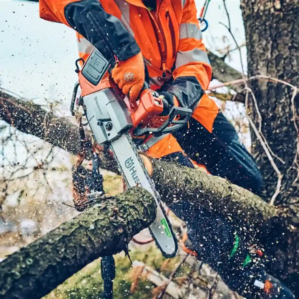 Træfældning og toppleje – professionelt skovarbejde af Walle's Haveentreprise